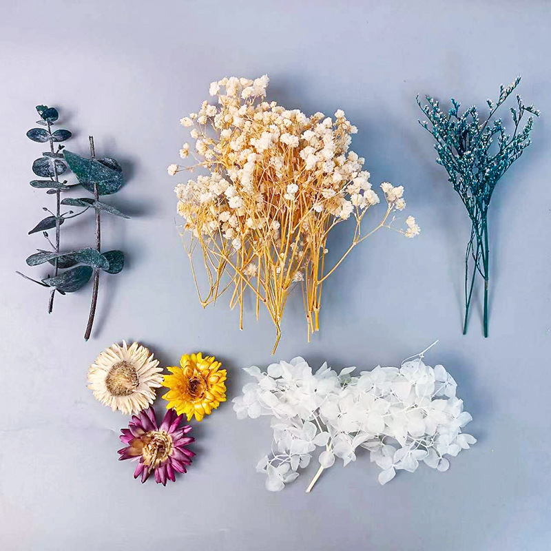 1pack Multifarious Dried Flowe - Craft Embellishment ulasan dan harga