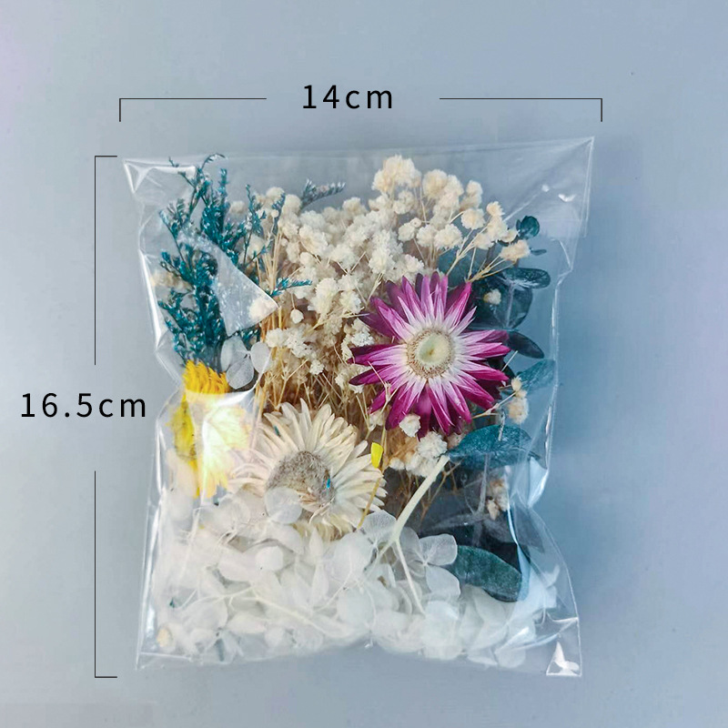 1pack Multifarious Dried Flowe - Craft Embellishment ulasan dan harga