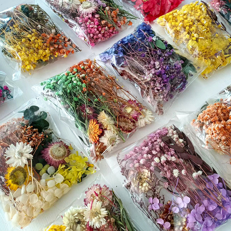 1pack Multifarious Dried Flowe - Craft Embellishment ulasan dan harga