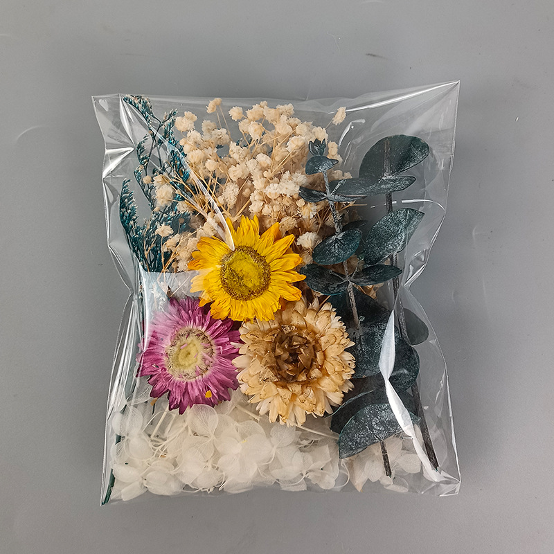 1pack Multifarious Dried Flowe - Craft Embellishment ulasan dan harga